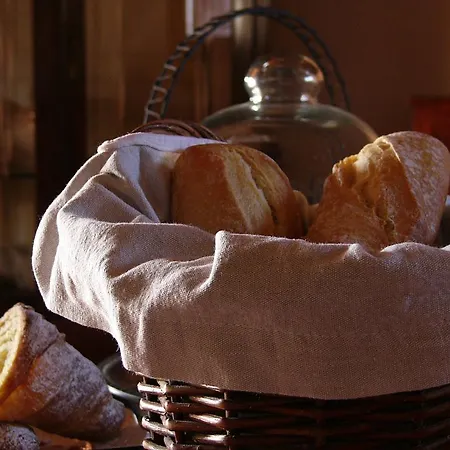 بيت للعطل La Vigna