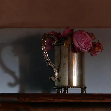 بيت للعطل La Vigna *