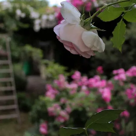 Casa vacanze La Vigna