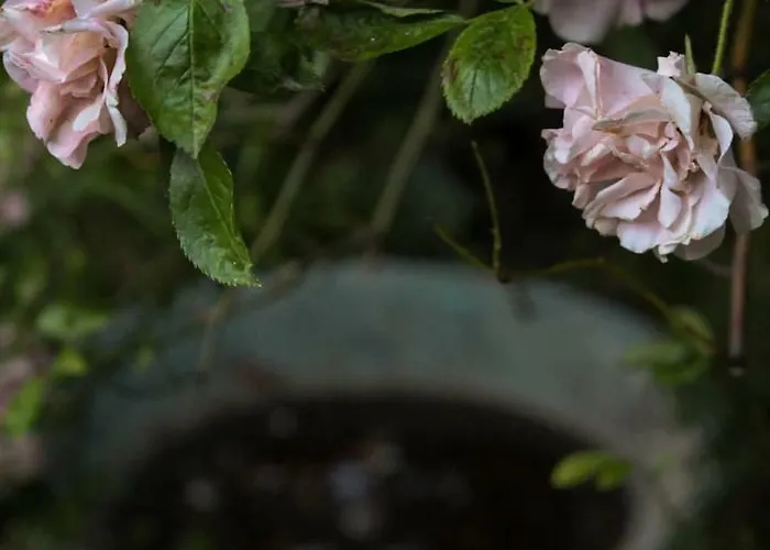 Dom wakacyjny La Vigna Treviso