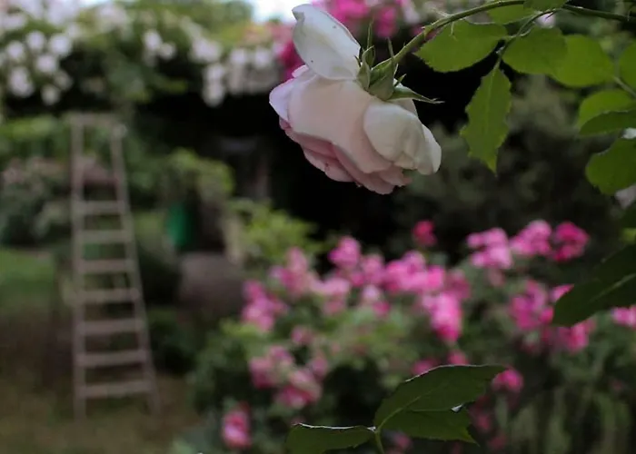 Dom wakacyjny La Vigna