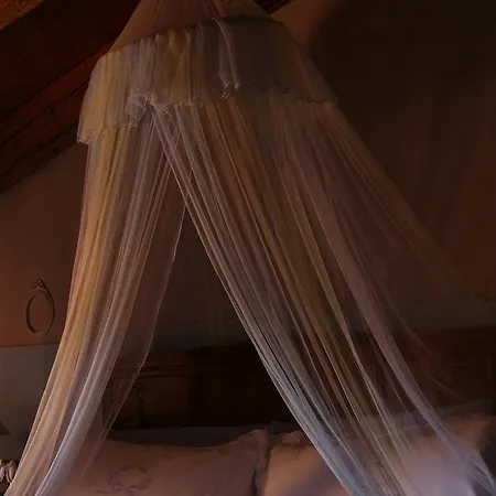 La Vigna 特雷维索