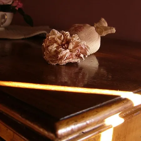 La Vigna * 特雷维索