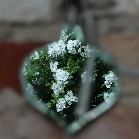 La Vigna 特雷维索