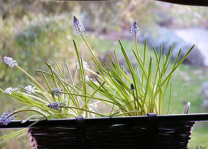 Ferienhaus La Vigna *